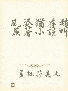 风姿犹存赵小龙原著小说叫什么名字