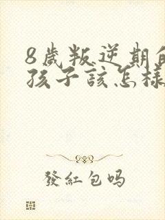 8岁叛逆期的男孩子该怎样去沟通教育