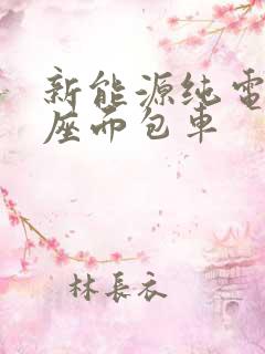 新能源纯电动七座面包车