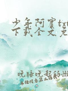 少年阿宾txt下载全文免费阅读