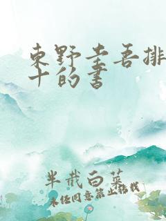 东野圭吾排名前十的书