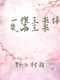 一棵玉米棒能打几两玉米
