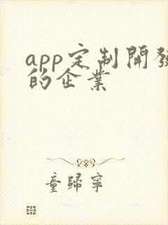app定制开发的企业