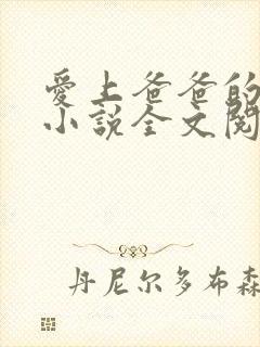 爱上爸爸的女儿小说全文阅读