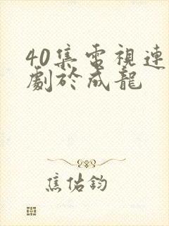 40集电视连续剧于成龙