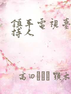 镇平电视台女主持人