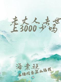 老丈人去世女婿上3000少吗