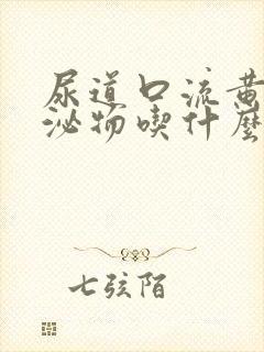 尿道口流黄色分泌物吃什么药