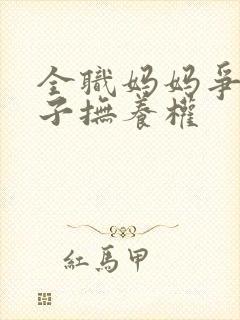 全职妈妈争取孩子抚养权