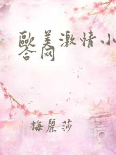 欧美激情小说综合网