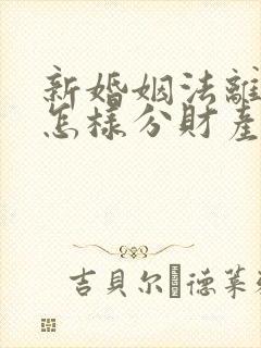 新婚姻法离婚是怎样分财产分割