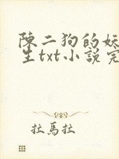 陈二狗的妖孽人生txt小说完整版