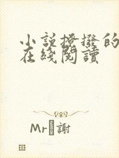 小说撩拨的温柔在线阅读