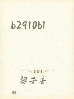 b2910bl