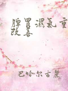 脾胃湿气重如何改善