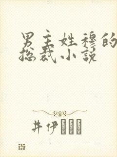 男主姓穆的霸道总裁小说