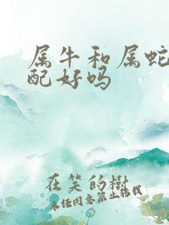 属牛和属蛇的婚配好吗