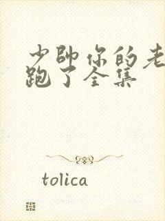 少帅你的老婆又跑了全集