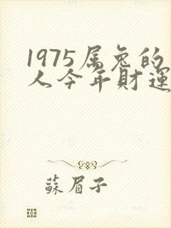 1975属兔的人今年财运怎么样