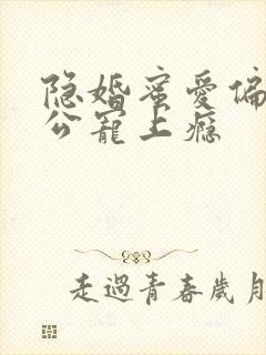 隐婚蜜爱偏执老公宠上瘾