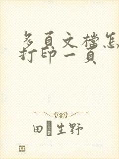 多页文档怎么只打印一页