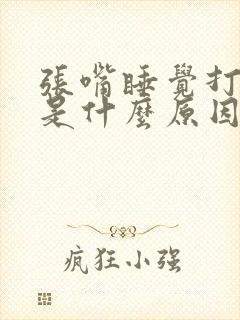张嘴睡觉打呼噜是什么原因