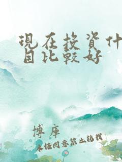 现在投资什么项目比较好