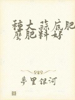 种大蒜底肥用什么肥料好
