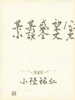 某某盛望/江添小说全文免费看