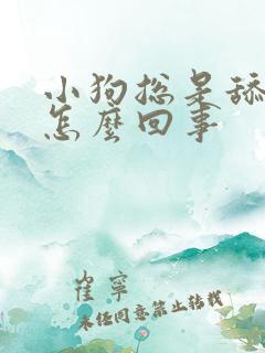 小狗总是舔爪子怎么回事