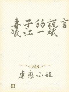妻子的谎言李夏曦江一斌