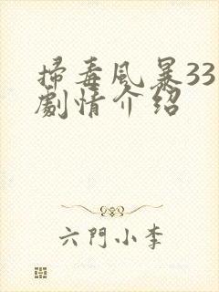 扫毒风暴33集剧情介绍