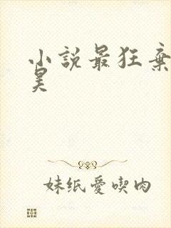 小说最狂弃少苏昊