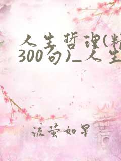 人生哲理(精选300句)_人生感悟的句子