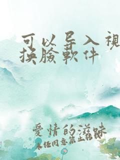 可以导入视频的换脸软件