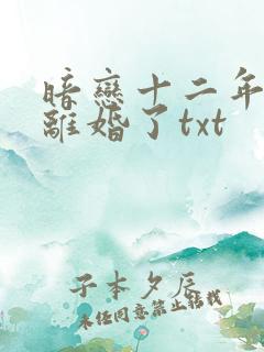 暗恋十二年后他离婚了txt