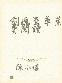 剑魂至尊叶风免费阅读