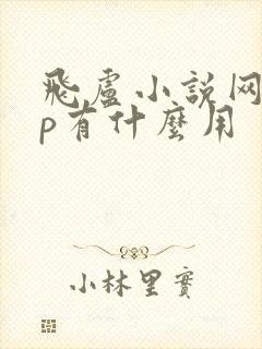 飞卢小说网vip有什么用