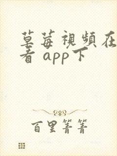 草莓视频在线观看 app下