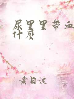 尿里里带血是为什么