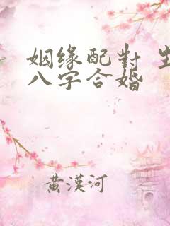 姻缘配对 生辰八字合婚
