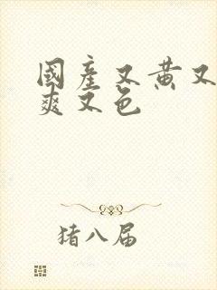 国产又黄又潮又爽又色