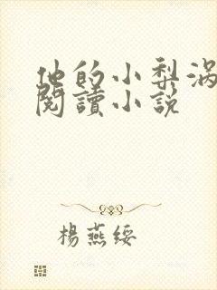 他的小梨涡免费阅读小说