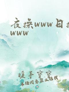 夜操www日操www
