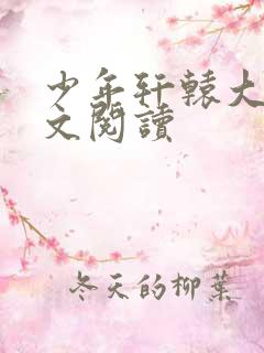 少年轩辕大宝全文阅读