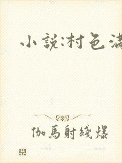 小说:村色满园