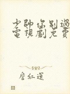 少帅你别过分野电视剧免费播放