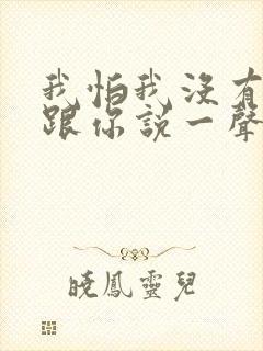我怕我没有机会跟你说一声再见是什么歌曲