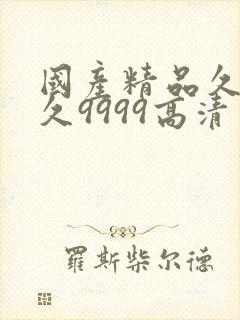 国产精品久久久久9999高清