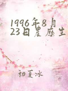 1996年8月23日农历生辰八字